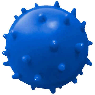 Solid Pet Ball with Catnip