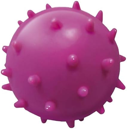 Solid Pet Ball with Catnip